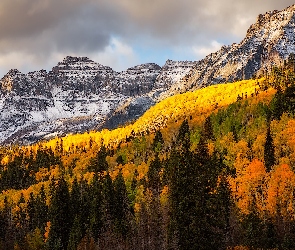 San Juan Mountains, Góry, Stany Zjednoczone, Drzewa, Jesień, Kolorado, Lasy