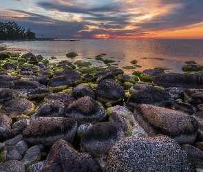 Morze, Zachód słońca, Brzeg, Drzewa, Kamienie