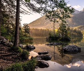 Skały, Jezioro Hintersee, Bawaria, Drzewa, Alpy, Niemcy, Góry