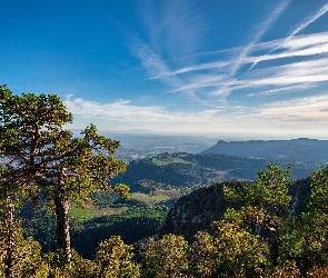 Hiszpania, Katalonia, Lasy, Góry, Serra de Queralt Drzewa, Gmina Castellar del Riu