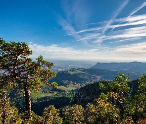 Lasy, Serra de Queralt Drzewa, Katalonia, Hiszpania, Gmina Castellar del Riu, Góry