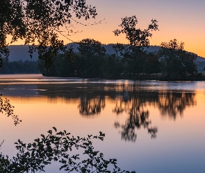 Rzeka Mozela, Niemcy, Odbicie, Drzewa, Wschód słońca