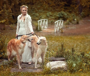 Kobieta, Charty rosyjskie borzoj, Dwa, Psy, Blondynka