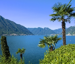 Góry, Palmy, Lombardia, Alpy, Como Lake, Włochy, Jezioro