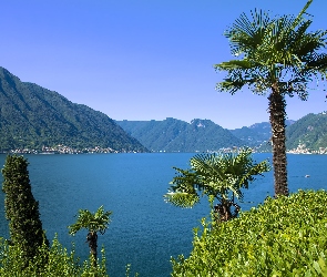 Góry, Palmy, Lombardia, Alpy, Como Lake, Włochy, Jezioro