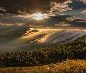 Mgła, Stara Płanina, Góry, Bułgaria, Promienie słońca, Chmury, Gabrowo, Drzewa