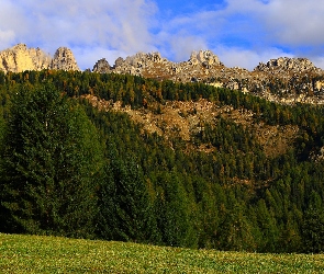 Las, Zielony, Skały, Góry, Drzewa, Świerki