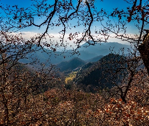 Góry, Drzewa, Hiszpania, Santa Maria de Besora, Katalonia, Gałęzie