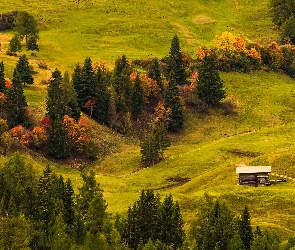 Dolina Val Gardena, Łąki, Seiser Alm, Płaskowyż, Włochy, Domy, Drewniane, Drzewa, Wzgórza