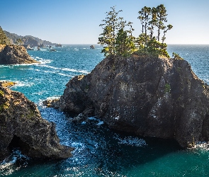 Morze, Drzewa, Oregon, Stany Zjednoczone, Samuel H. Boardman State Scenic Corridor, Wybrzeże, Wysepka, Park stanowy, Skały