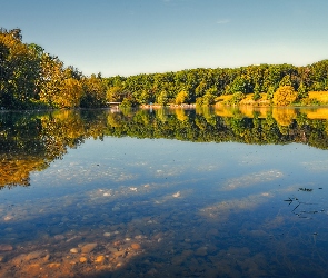 Niebo, Krzewy, Jezioro, Drzewa