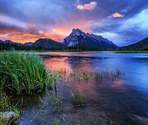 Kanada, Trawy, Vermilion Lakes, Canadian Rockies, Góry, Góra, Park Narodowy Banff, Jezioro, Wschód słońca, Niebo, Chmury, Mount Rundle