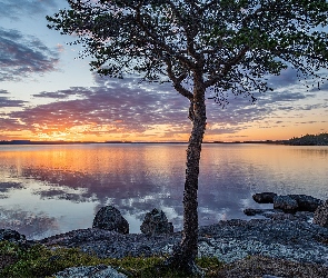 Jezioro, Lake Inari, Finlandia, Zachód słońca, Chmury, Drzewo