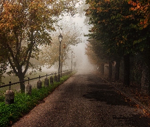 Droga, Mgła, Latarnie, Drzewa, Jesień