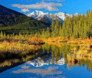 Góry, Drzewa, Jesień, Kolorowe, Jezioro, Las, Odbicie, Krzewy