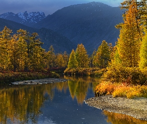 Góry, Drzewa, Jesień, Purga, Magadan, Rzeka, Rosja, Kołyma