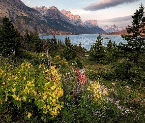 Jezioro, Góry Skaliste, Stany Zjednoczone, Drzewa, Park Narodowy Glacier, Stan Montana, Saint Mary Lake