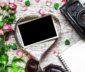 Zdjęcie, Notes, Aparat fotograficzny, Róże, Kwiaty