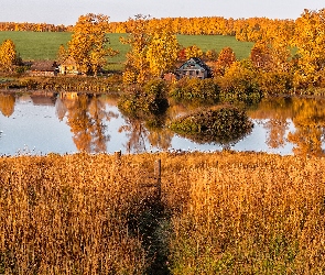 Jesień, Rzeka, Trawa, Drzewa, Pożółkła, Domy