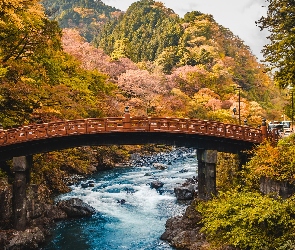 Most, Góry, Daiya River, Rzeka, Japonia, Jesień, Drzewa, Nikko, Shinkyo Bridge