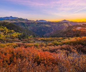 San Juan Mountains, Lasy, Góry, Jesień, Stany Zjednoczone, Krzewy, Kolorowe, Kolorado, Drzewa