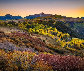 Stan Kolorado, Drzewa, Krzewy, Stany Zjednoczone, Telluride, San Juan Mountains, Wilson Peak, Góry, Las, Jesień, Góra, Góry