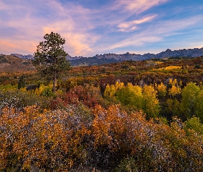 Telluride, Wzgórza, Stan Kolorado, Stany Zjednoczone, Księżyc, Kolorowa, Roślinność, Drzewo, Jesień