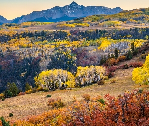 Lasy, Góry, Jesień, Stany Zjednoczone, Drzewa, Kolorowe, Kolorado, San Juan Mountains