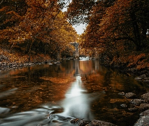 Kamienie, Drzewa, Kamienny, Jesień, Las, Rzeka, Most