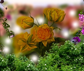 Tulipany, Grafika 2D, Kwiaty