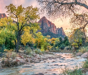 Góry, Rzeka, Park Narodowy Zion, Drzewa, Stan Utah, Góra Watchman, Stany Zjednoczone, Virgin River
