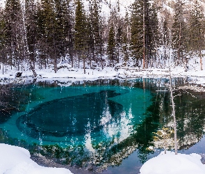 Las, Śnieg, Jezioro, Drzewa, Zima