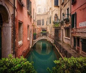 Włochy, Wenecja, Roślinność, Most, Kanał, Domy
