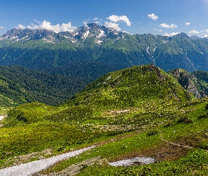 Góra, Chmury, Kaukaz, Góry, Rosja, Trawa, Drzewa, Kraj Krasnodarski, Mount Chugush