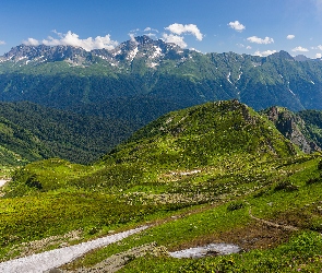 Góry, Kraj Krasnodarski, Drzewa, Rosja, Trawa, Chmury, Kaukaz, Góra, Mount Chugush