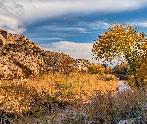 Trawa, Rzeka, Jesień, Stany Zjednoczone, Park Narodowy Capitol Reef, Skały, Stan Utah, Drzewa