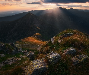 Wschód słońca, Trawa, Góry, Skały