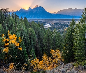 Snake River, Teton Range, Góry, Stany Zjednoczone, Park Narodowy Grand Teton, Drzewa, Stan Wyoming, Rzeka
