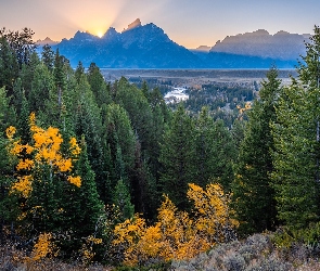 Teton Range, Drzewa, Góry, Snake River, Stan Wyoming, Rzeka, Stany Zjednoczone, Park Narodowy Grand Teton