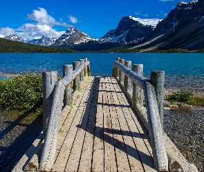 Jezioro, Krzewy, Góry, Pomost, Alberta, Bow Lake, Kanada, Park Narodowy Banff