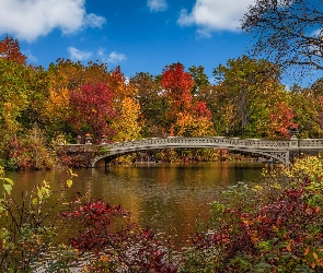 Central Park, Nowy Jork, Jesień, Stany Zjednoczone, Jezioro, Drzewa, Most, Manhattan