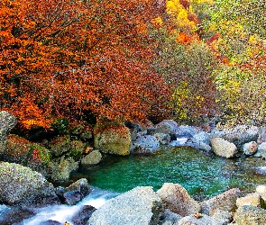 Las, Jesień, Rzeka, Kolorowe, Liście, Kamienie, Drzewa