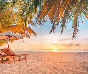 Parasol, Plaża, Morze, Malediwy, Wschód słońca, Palmy, Wyspa Dhigurah, Leżaki
