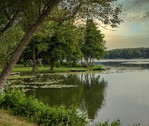 Park, Ptaki, Jezioro Lychensee, Łódki, Brandenburgia, Drzewa, Niemcy, Uckermark