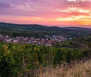 Wzgórza, Badenia-Wirtembergia, Zachód słońca, Niemcy, 
Bahlingen, Winnice, Kaiserstuhl, Domy, Plantacja