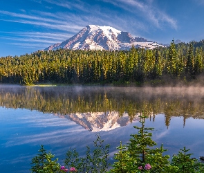 Stany Zjednoczone, Stratowulkan, Park Narodowy Mount Rainier, Mount Rainier, Góra, Reflection Lakes, Mgła, Drzewa, Stan Waszyngton, Jezioro