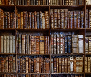 Regał, Półki, Biblioteka, Książki
