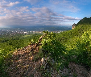 Rośliny, Drzewa, Skały, Góry, Dolina, Miasto