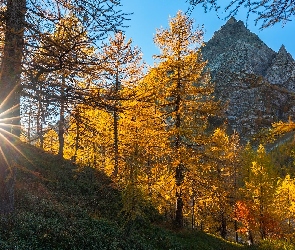 Góry, Jesień, Promienie słońca, Drzewa
