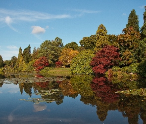 Staw, Jesień, Drzewa, Kolorowe